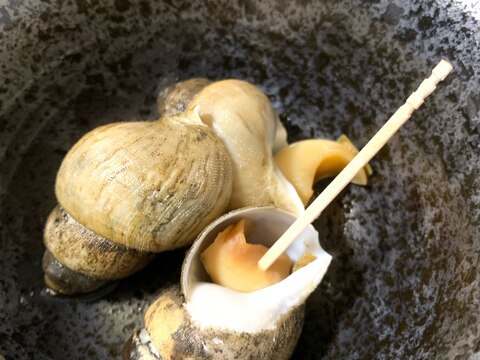 めんつゆで簡単 バイ貝の煮付け レシピ 作り方 By Asa 楽天レシピ めんつゆで簡単 バイ貝の煮付け レシピ 作り方 By Asa 楽天レシピ